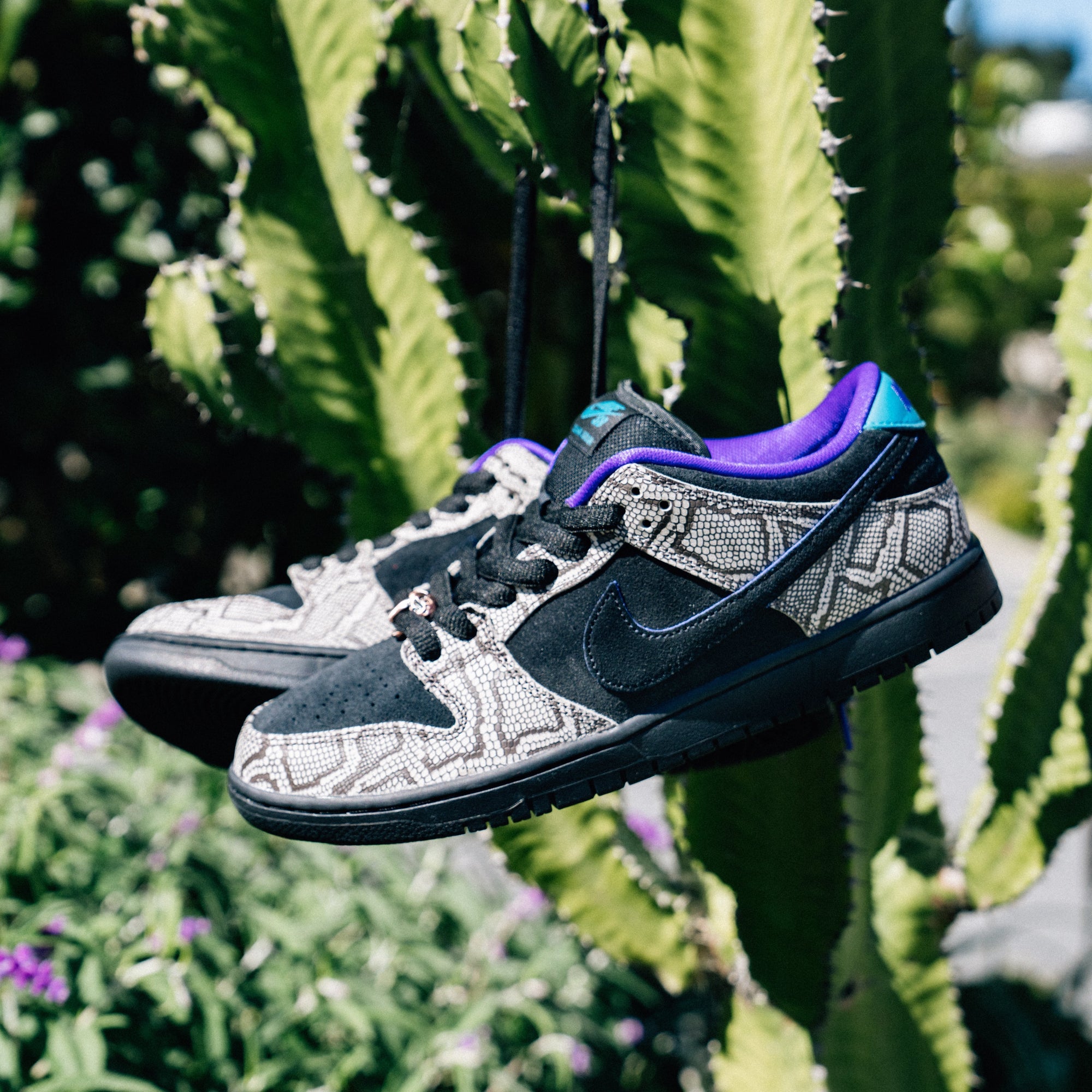 Nike SB Dashawn Dunk Low Release